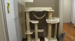 Как да направите kat kinder